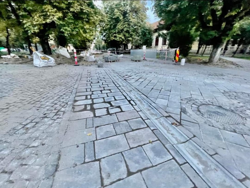 Marinela Strîmbulescu: Sunt de acord ca lucrurile să fie într-un proces continuu de creștere valorică! Dar nu pot fi de acord cu regresul!